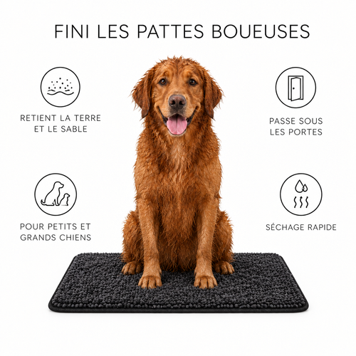 Tapis anti boue